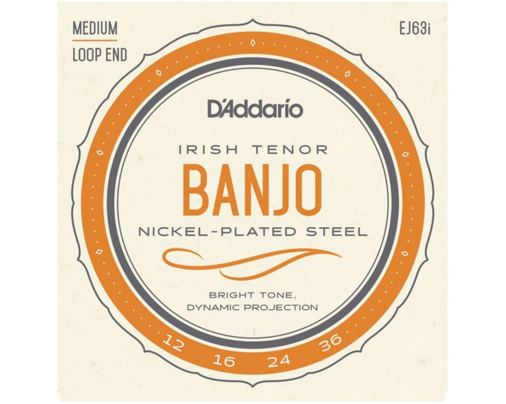 D'Addario EJ63i Irish Tenor Banjo Medium Loop-End - Backstage Music