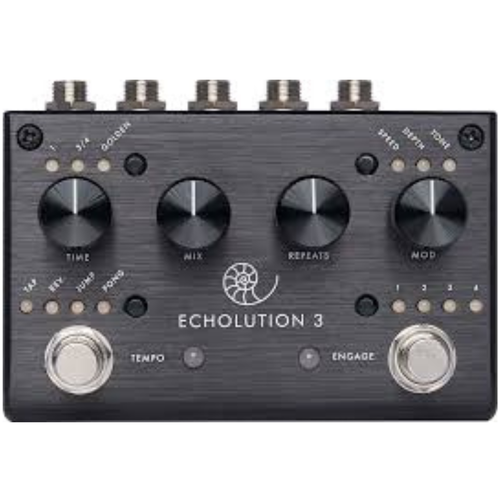 Pigtronix Echolution 3 Modulated Delay - Backstage Music