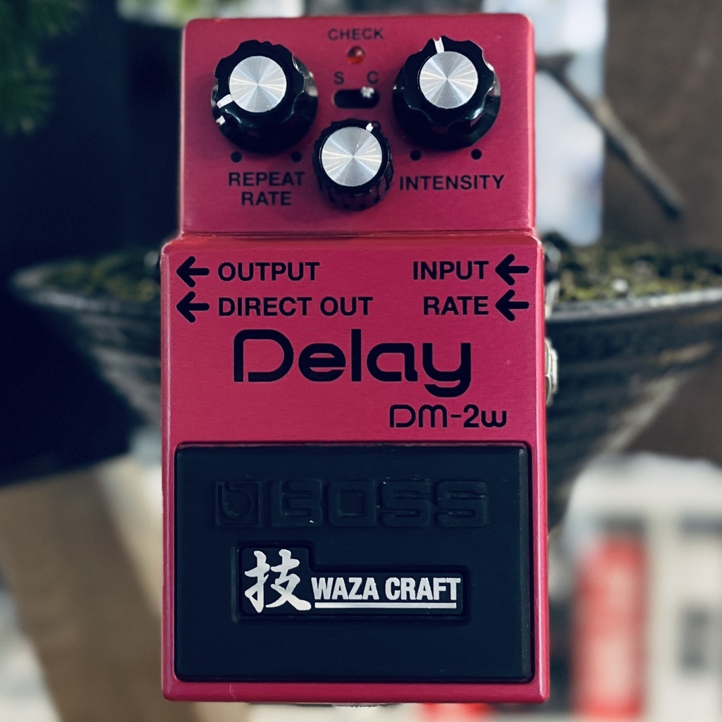 Boss OCCASION DM-2w Delay - Backstage Music