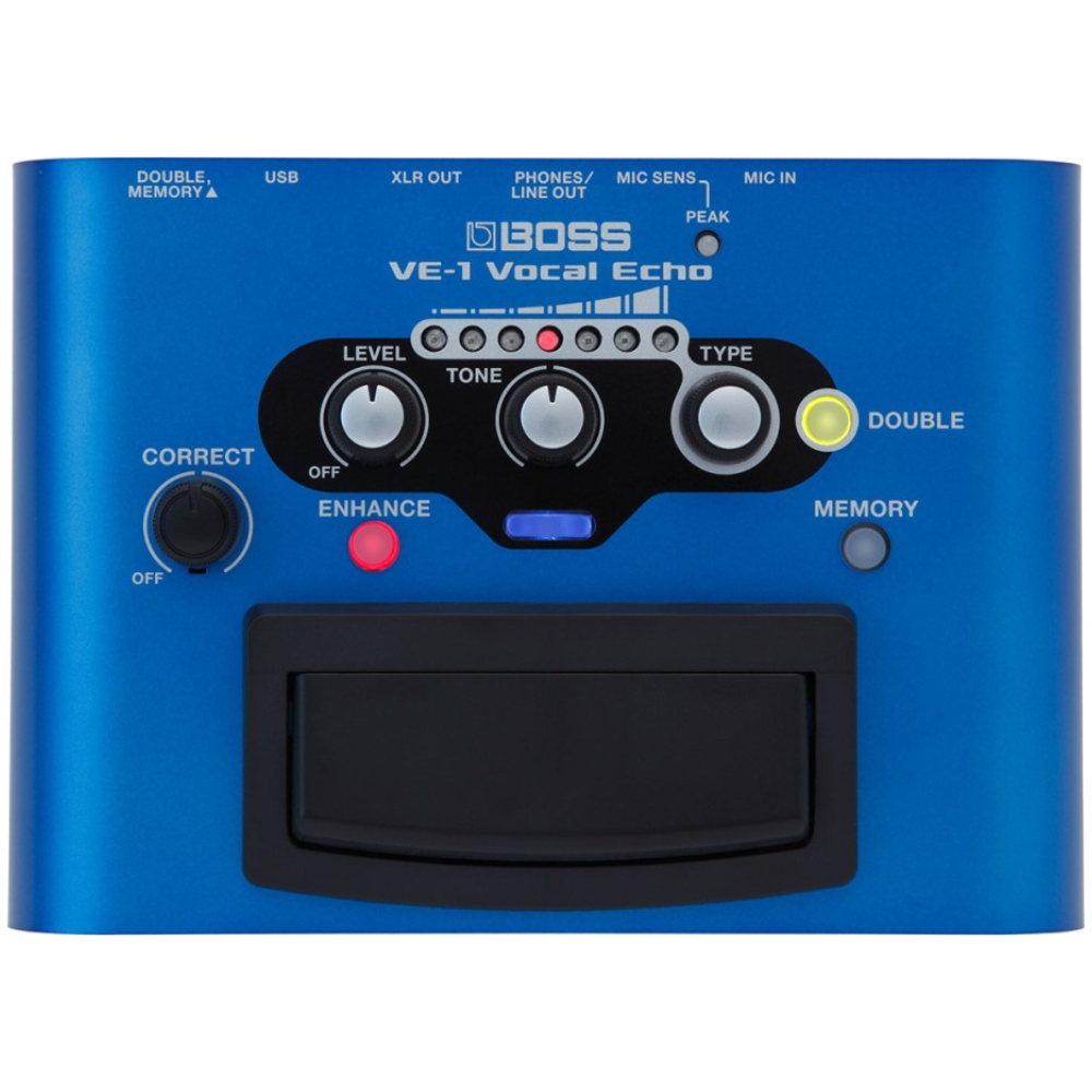 Boss VE-1 Vocal Echo - Backstage Music