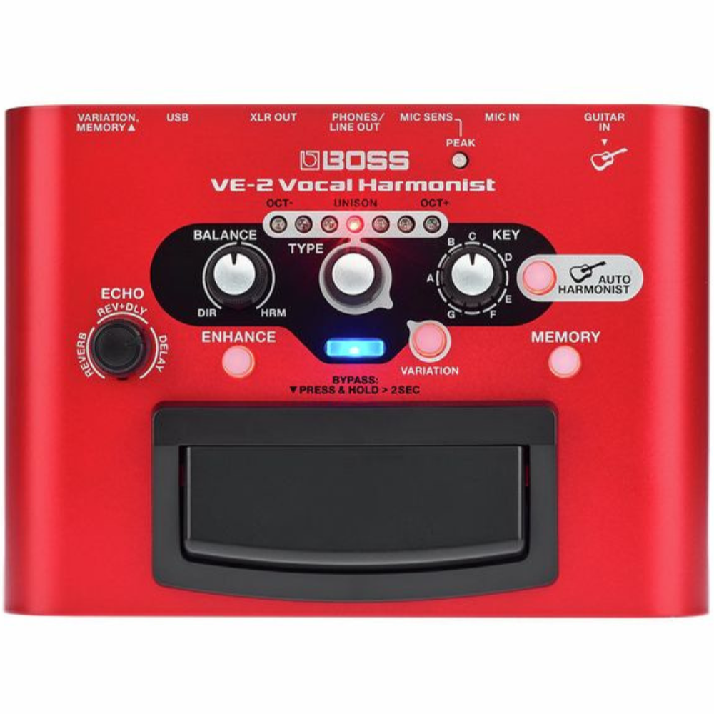 Boss VE-2 Vocal Harmonist - Backstage Music